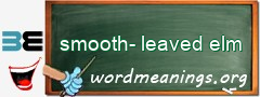 WordMeaning blackboard for smooth-leaved elm